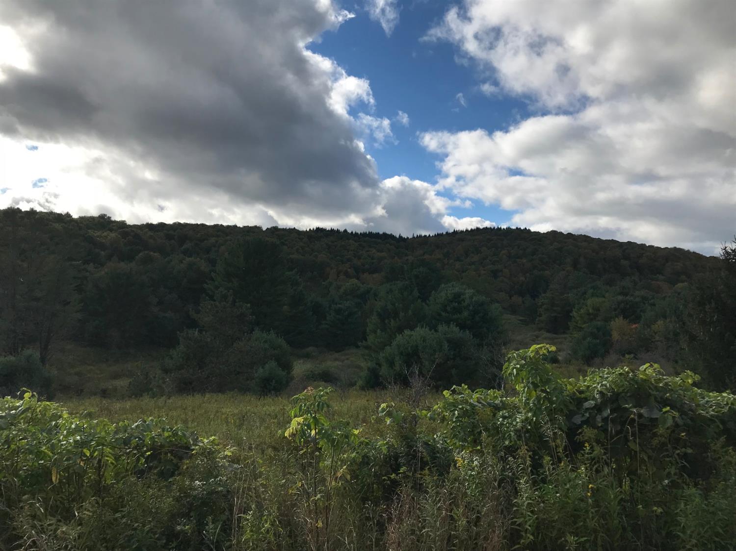 271 Texas Road New Lisbon, NY 13810 - Photo 1 of 1