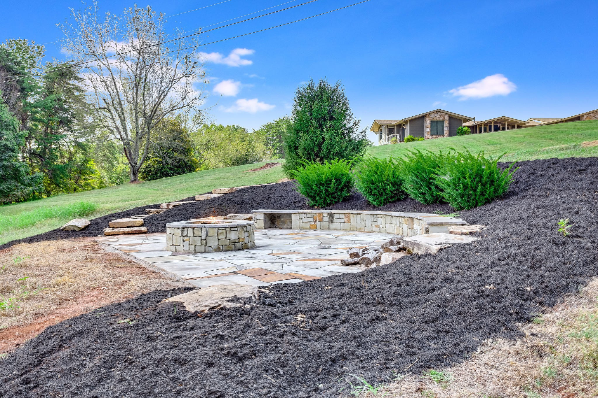 601 Self Hollow Road Rockford, TN 37853 - Photo 38 of 40 a view of a yard with plants and trees
