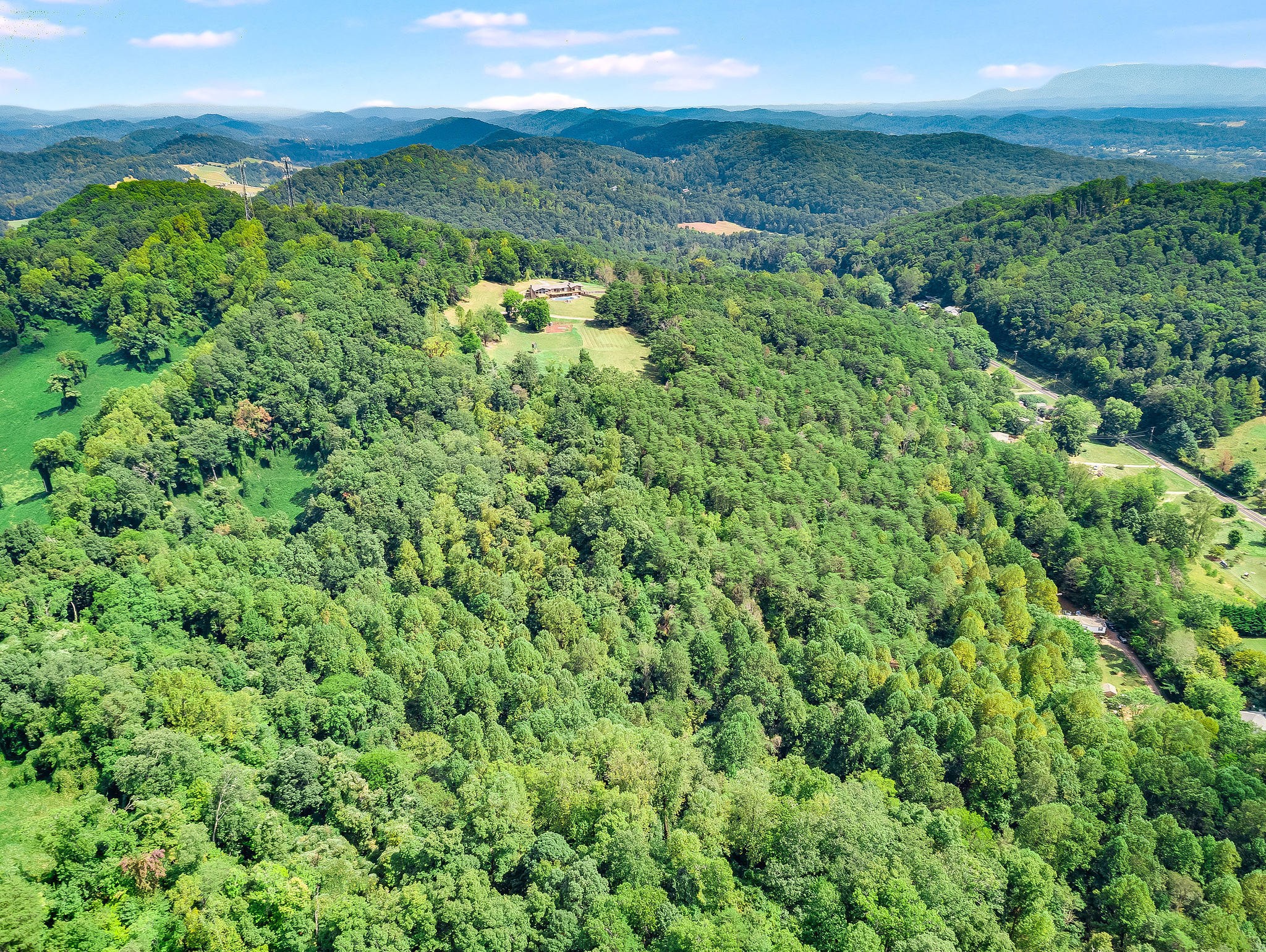 601 Self Hollow Road Rockford, TN 37853 - Photo 39 of 40 a view of a green field with lots of bushes