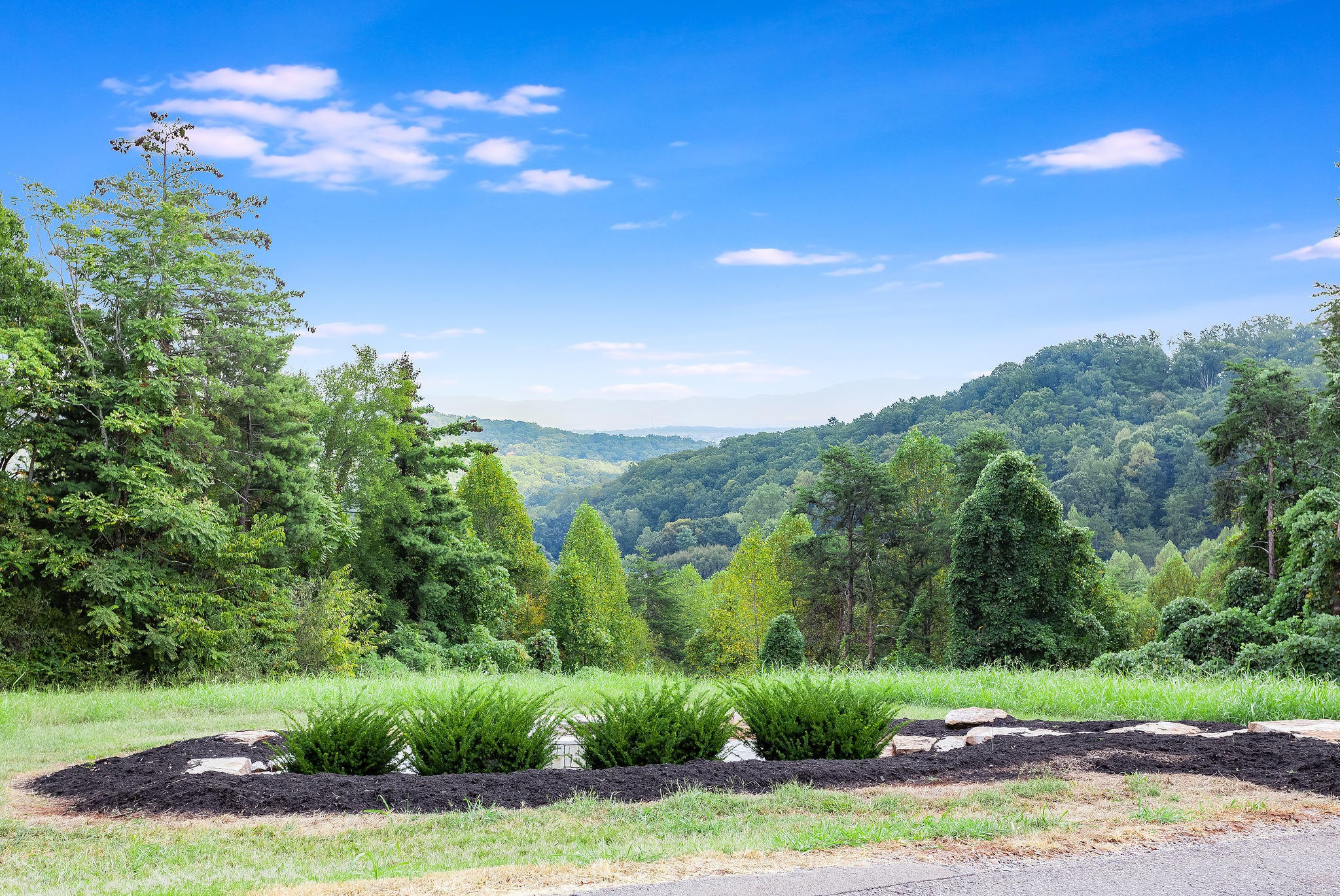 601 Self Hollow Road Rockford, TN 37853 - Photo 6 of 40