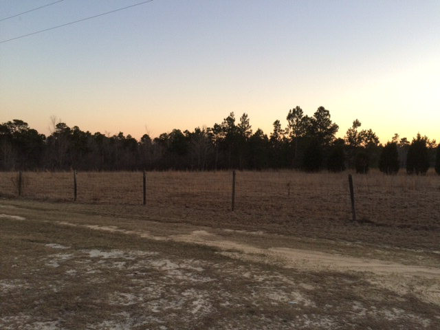 410 Beck Road Williston, SC 29853 - Photo 4 of 9 a view of a yard