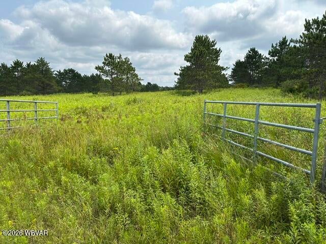 Iron Gate Road Beech Creek, PA 16822 - Photo 5 of 20 Gallery Image 5