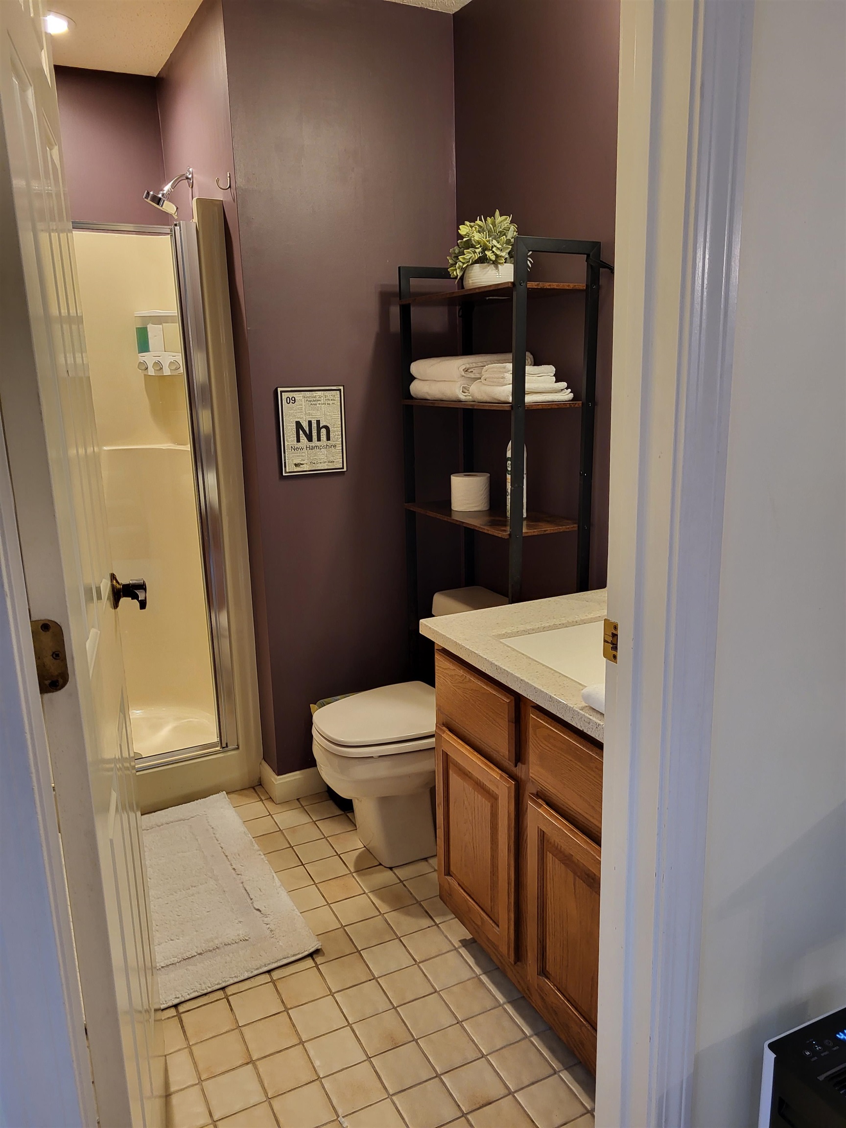 10 B Joshua Loop Road, Unit B Jackson, NH 03846 - Photo 7 of 38