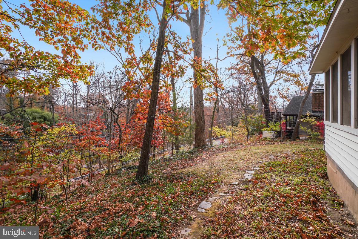 6540 Wiscasset Road Bethesda, MD 20816 - Photo 29 of 33 a view of road with trees
