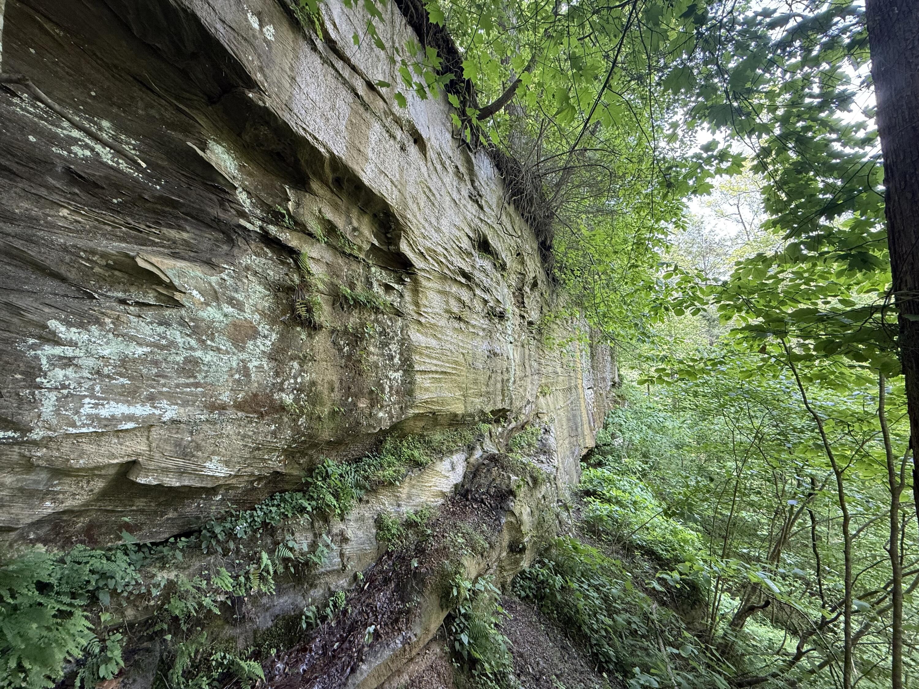 342 Dewey Banks Road Campton, KY 41301 - Photo 28 of 64 028 long rock face in the north part of