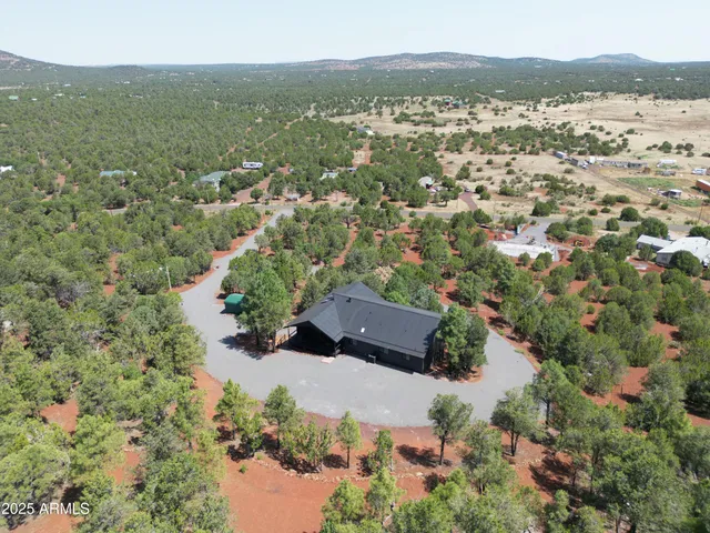 an aerial view of residential houses with outdoor space and trees