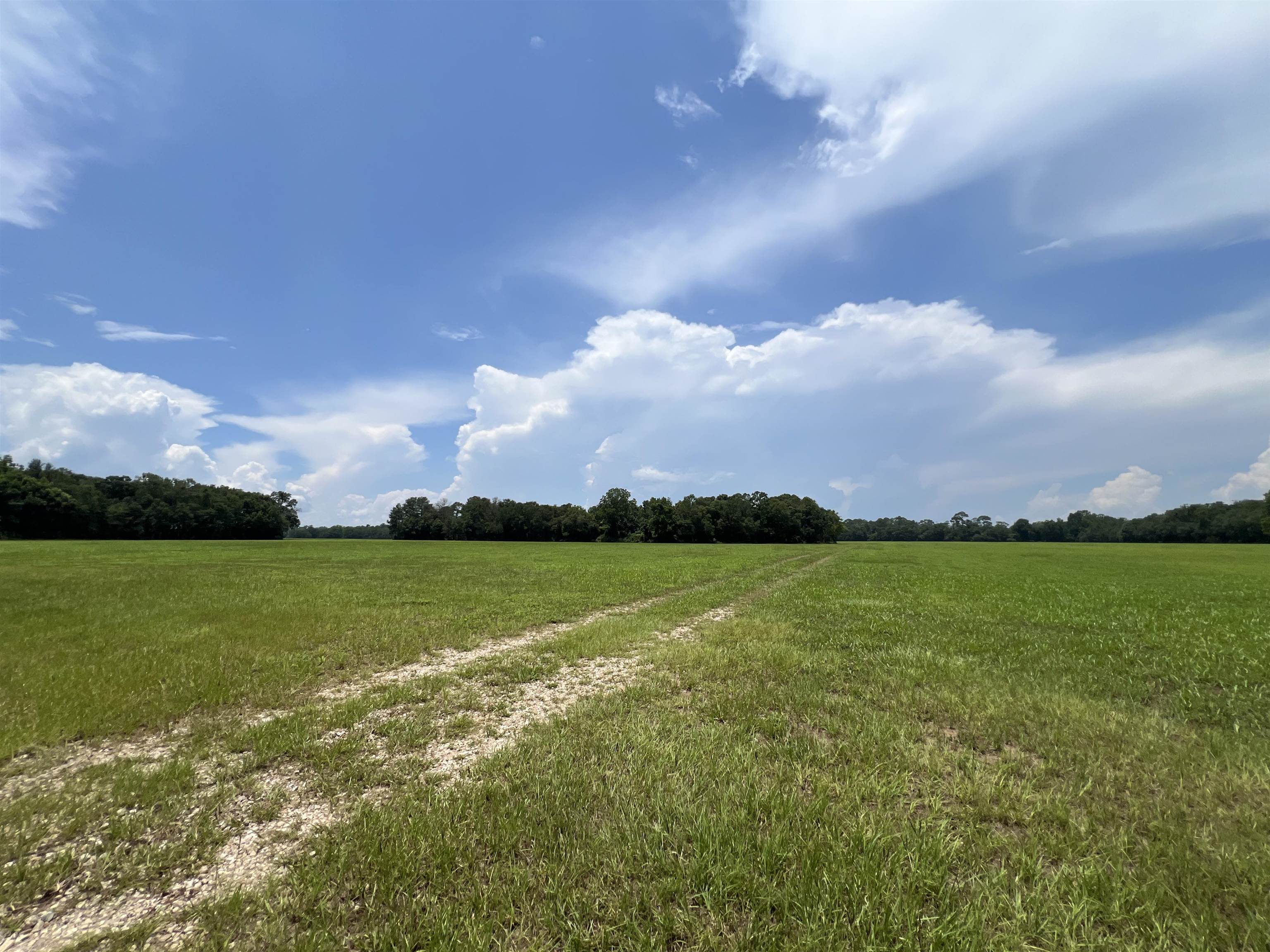 Xx Xx Max Herrin Road Quincy, FL 32352 - Photo 39 of 46