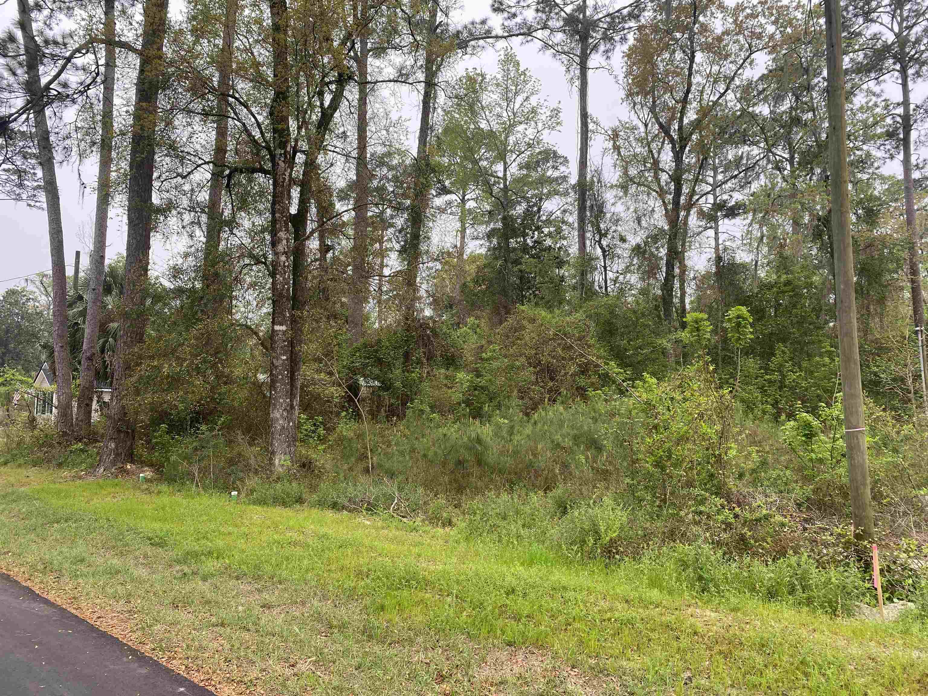 24 Maxson Road Crawfordville, FL 32327 - Photo 9 of 9 Gallery Image 9