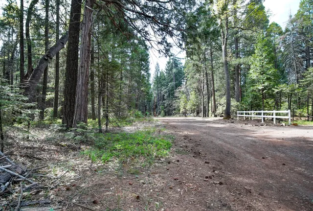 a view of a outdoor space with trees