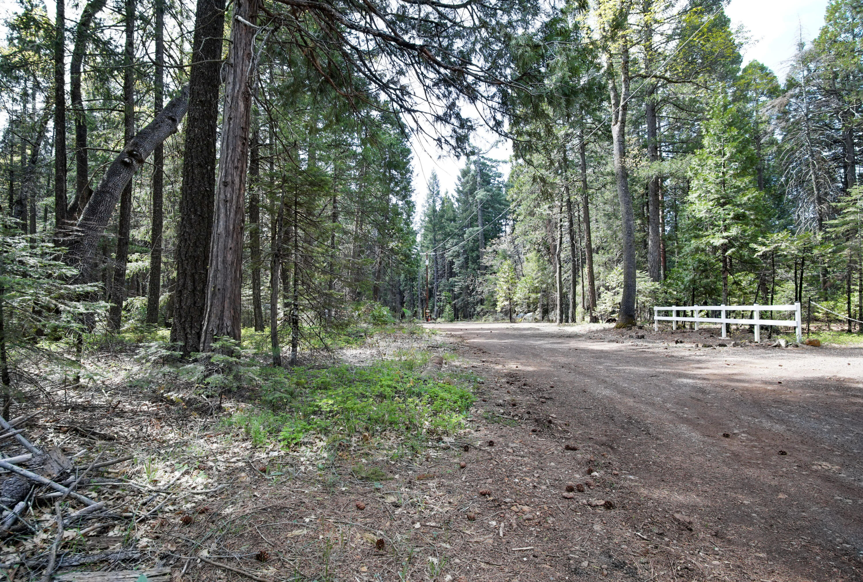 a view of a outdoor space with trees