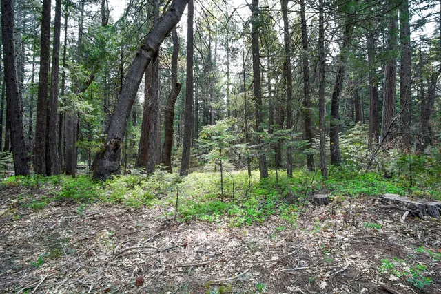 a backyard of a house with lots of green space