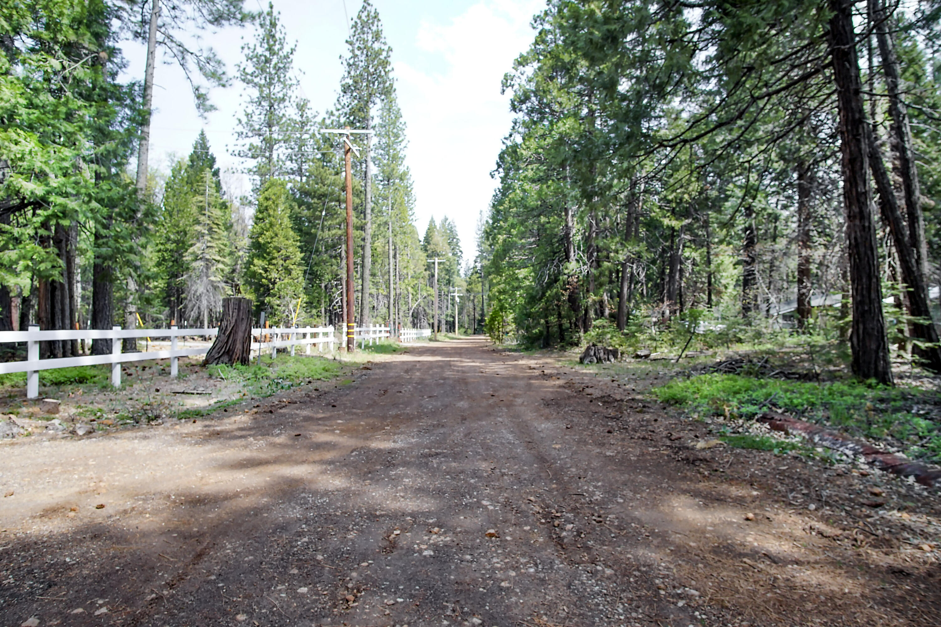 Linda Road Shingletown, CA 96088 - Photo 4 of 4 a view of a park with large trees