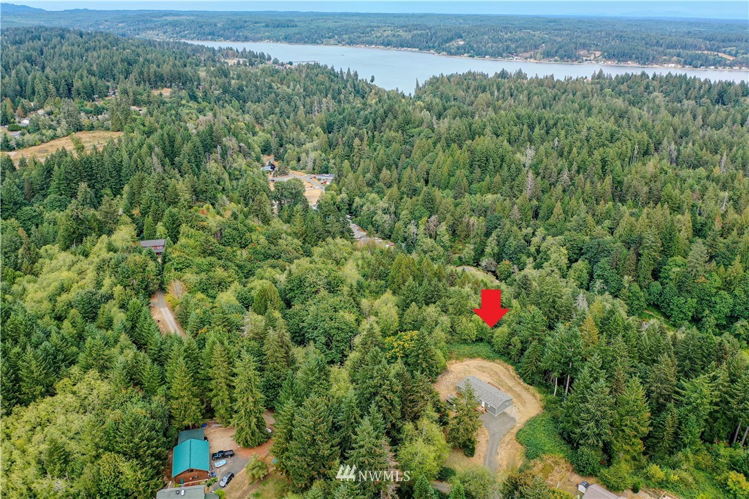 590 East Sherwood Road Allyn, WA 98524 - Photo 4 of 28 Gallery Image 4