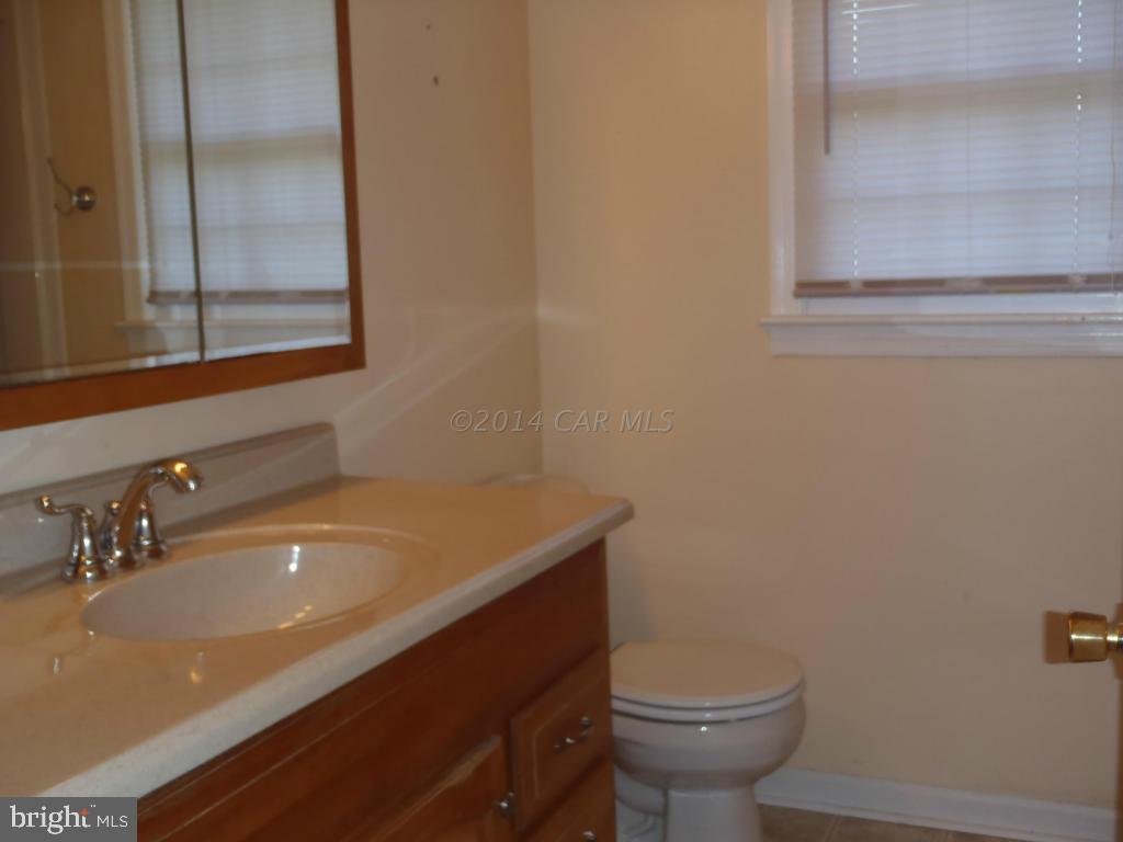 31169 Carioca Road Delmar, MD 21875 - Photo 19 of 26 Gallery Image 19