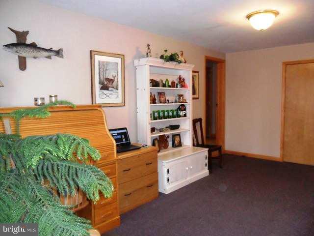 489 Springfield Road Shippensburg, PA 17257 - Photo 12 of 22 Gallery Image 12