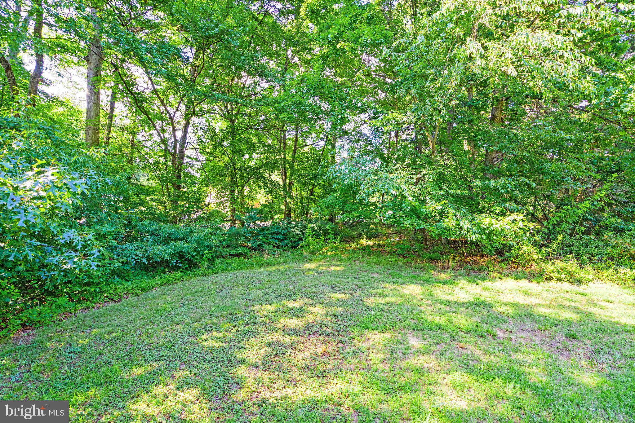 8311 Pohick Road Springfield, VA 22153 - Photo 85 of 92