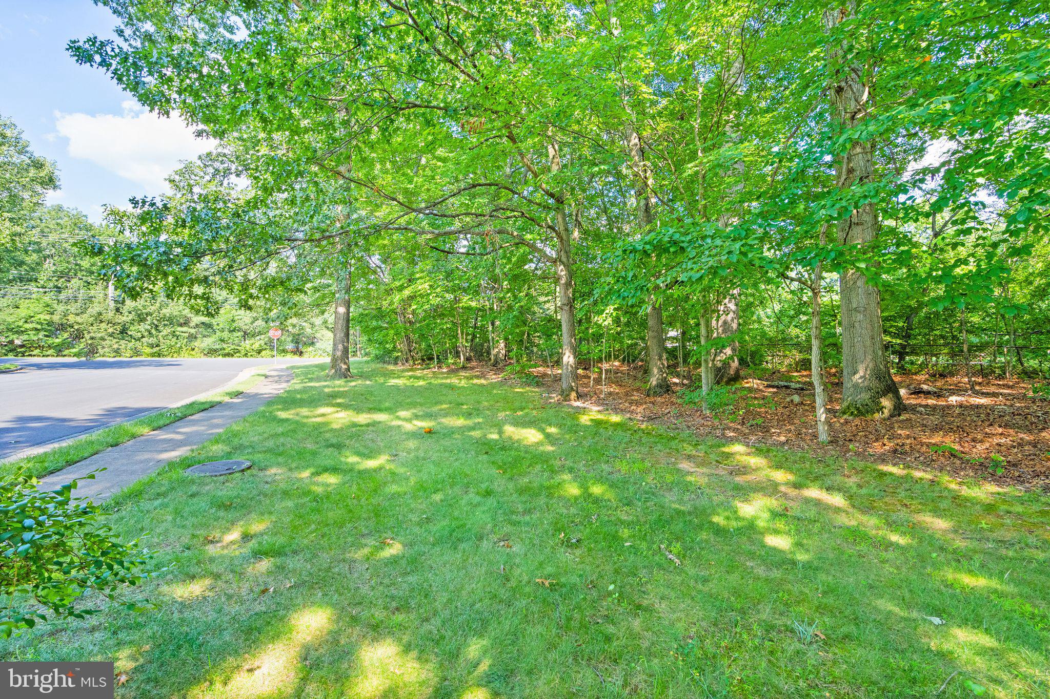 8311 Pohick Road Springfield, VA 22153 - Photo 88 of 92 a backyard of a house with lots of green space