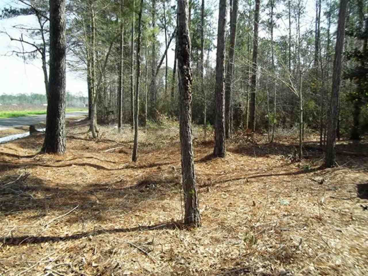 300 Deere Creek Road Atmore, AL 36502 - Photo 3 of 13 Gallery Image 3