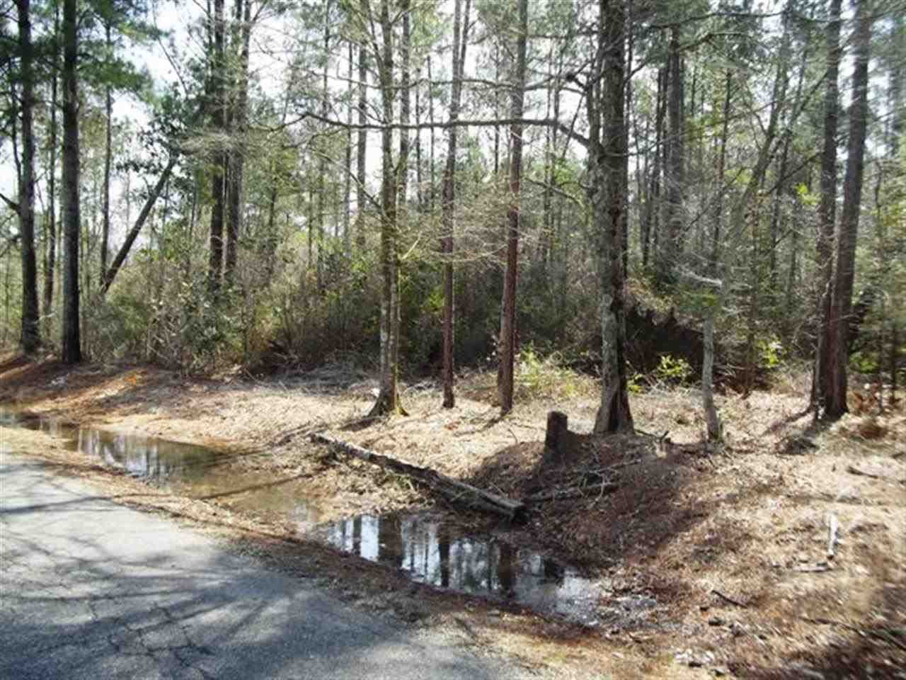 300 Deere Creek Road Atmore, AL 36502 - Photo 4 of 13 Gallery Image 4