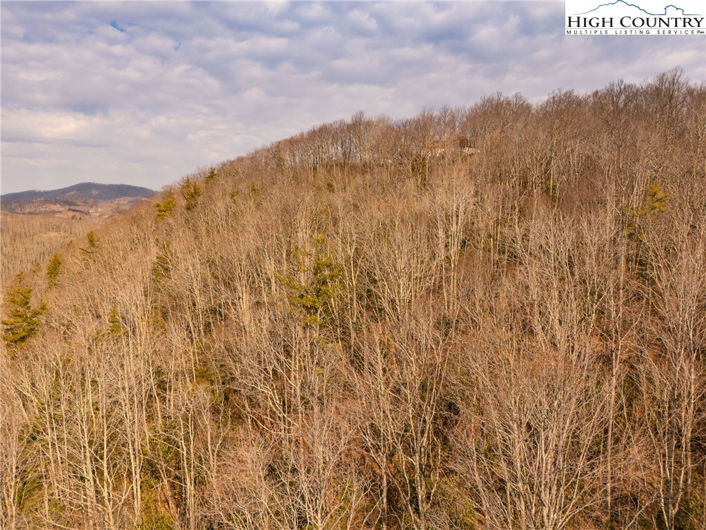 1122 Pine Ridge Road Beech Mountain, NC 28604 - Photo 19 of 38
