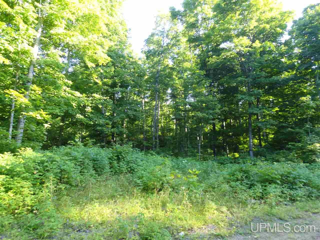 80 NORTH Off Co Road Ishpeming, MI 49849 - Photo 12 of 19