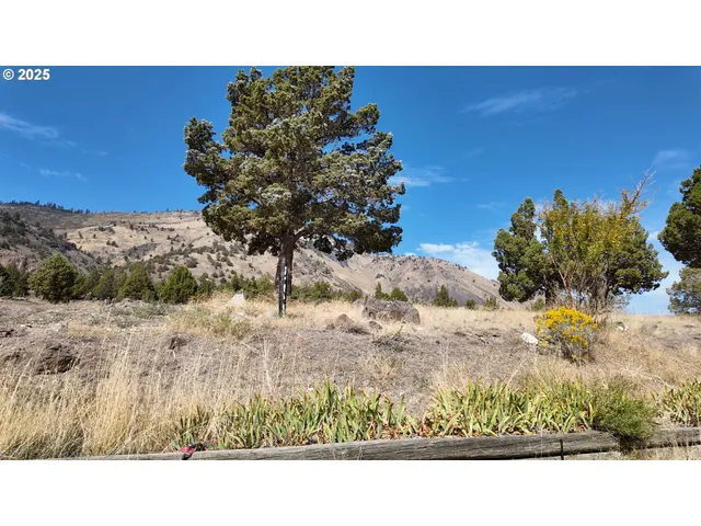 a view of a backyard of a house