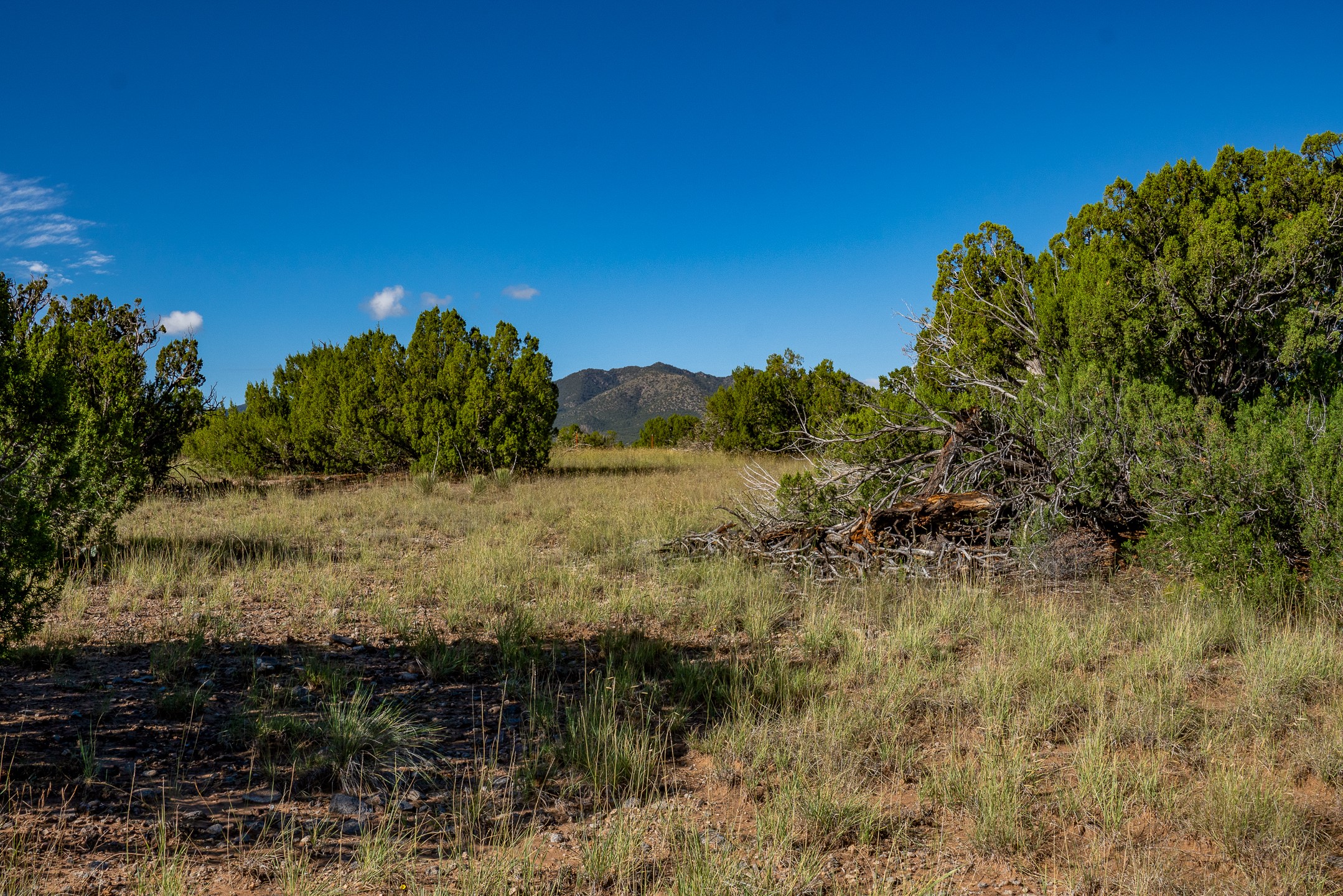 95 Grenfell Ranch Road Cerrillos, NM 87010 - Photo 20 of 47