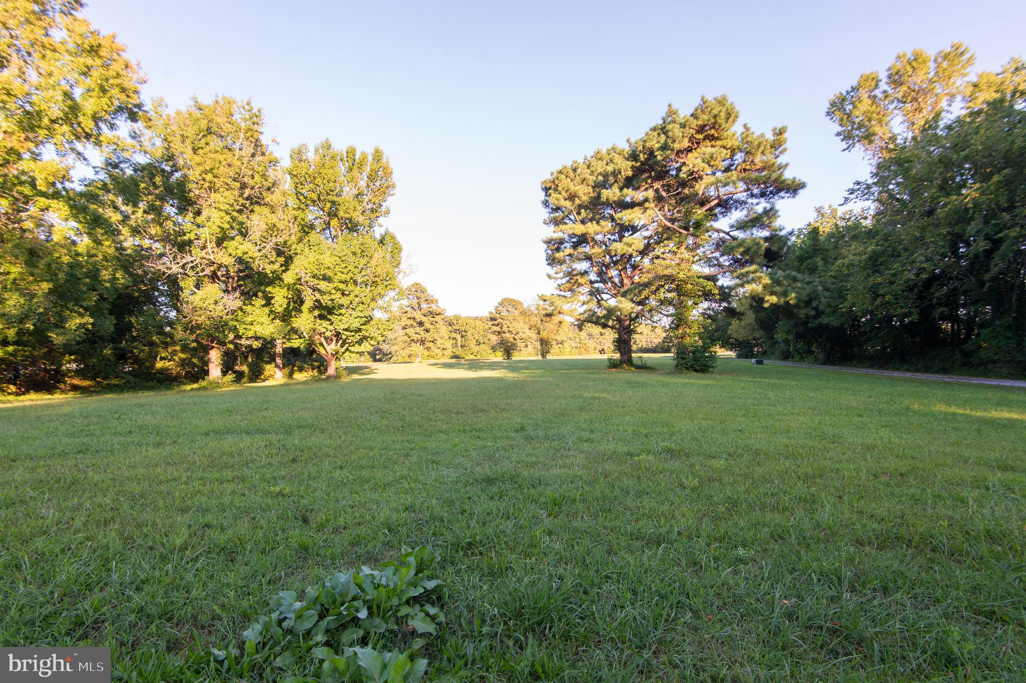 11482 Kittys Corner Road Cordova, MD 21625 - Photo 27 of 68 a view of yard with green space