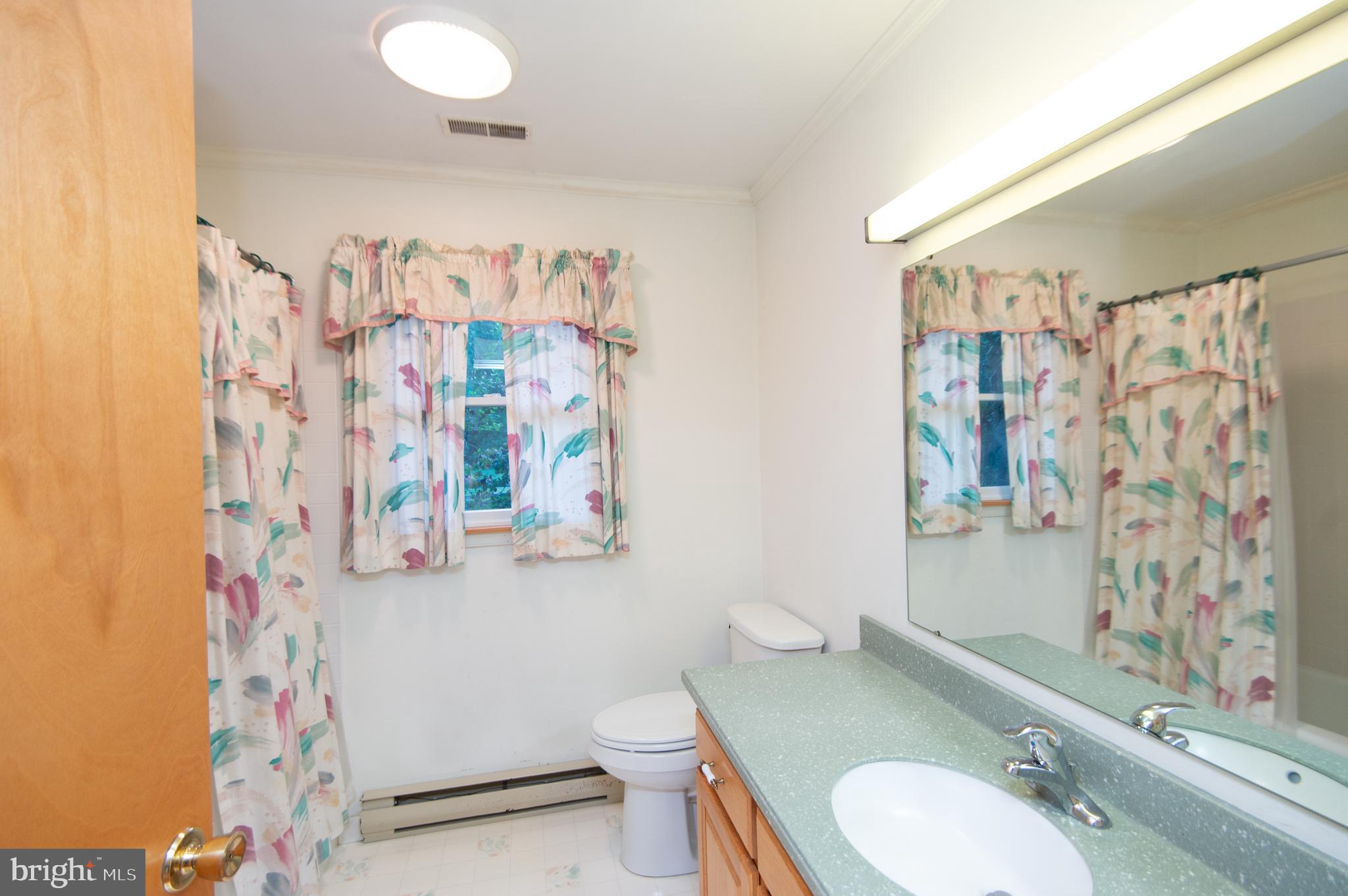 11482 Kittys Corner Road Cordova, MD 21625 - Photo 67 of 68 a bathroom with a sink toilet and shower