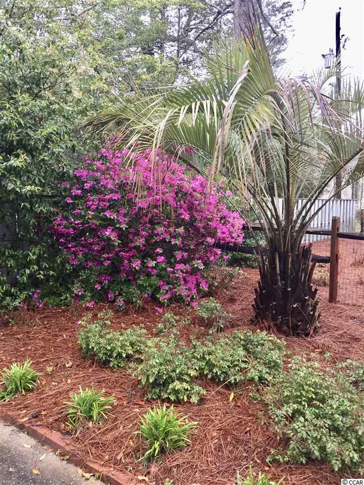 408 Lafayette Road Myrtle Beach, SC 29572 - Photo 8 of 28 Gallery Image 8