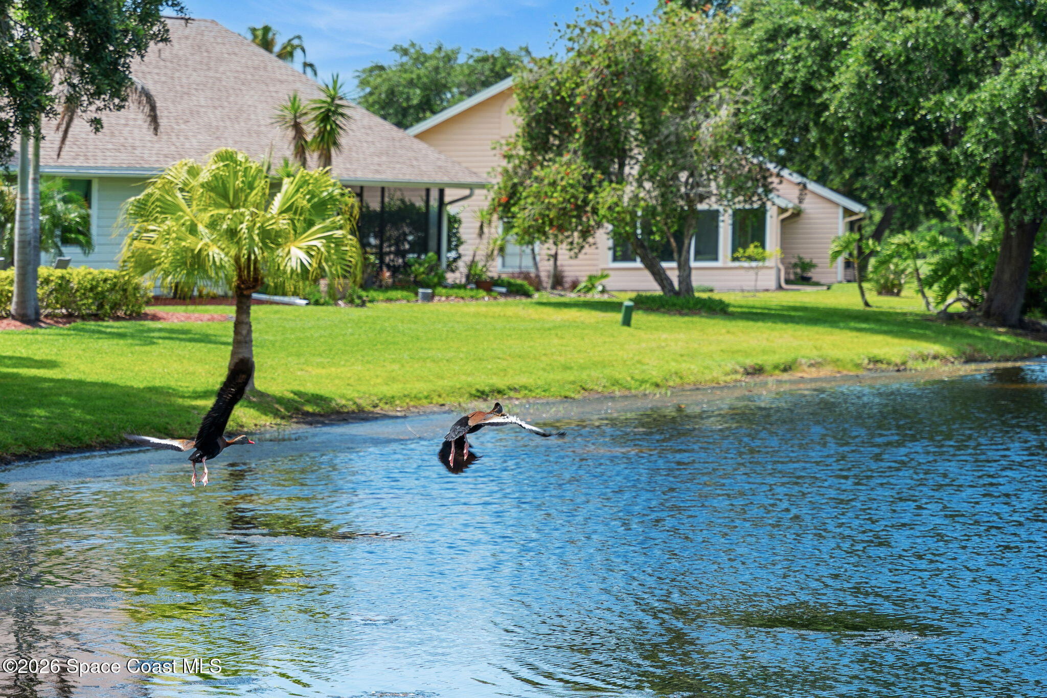 865 Ridge Lake Drive Melbourne, FL 32940 - Photo 52 of 55 Lake Views