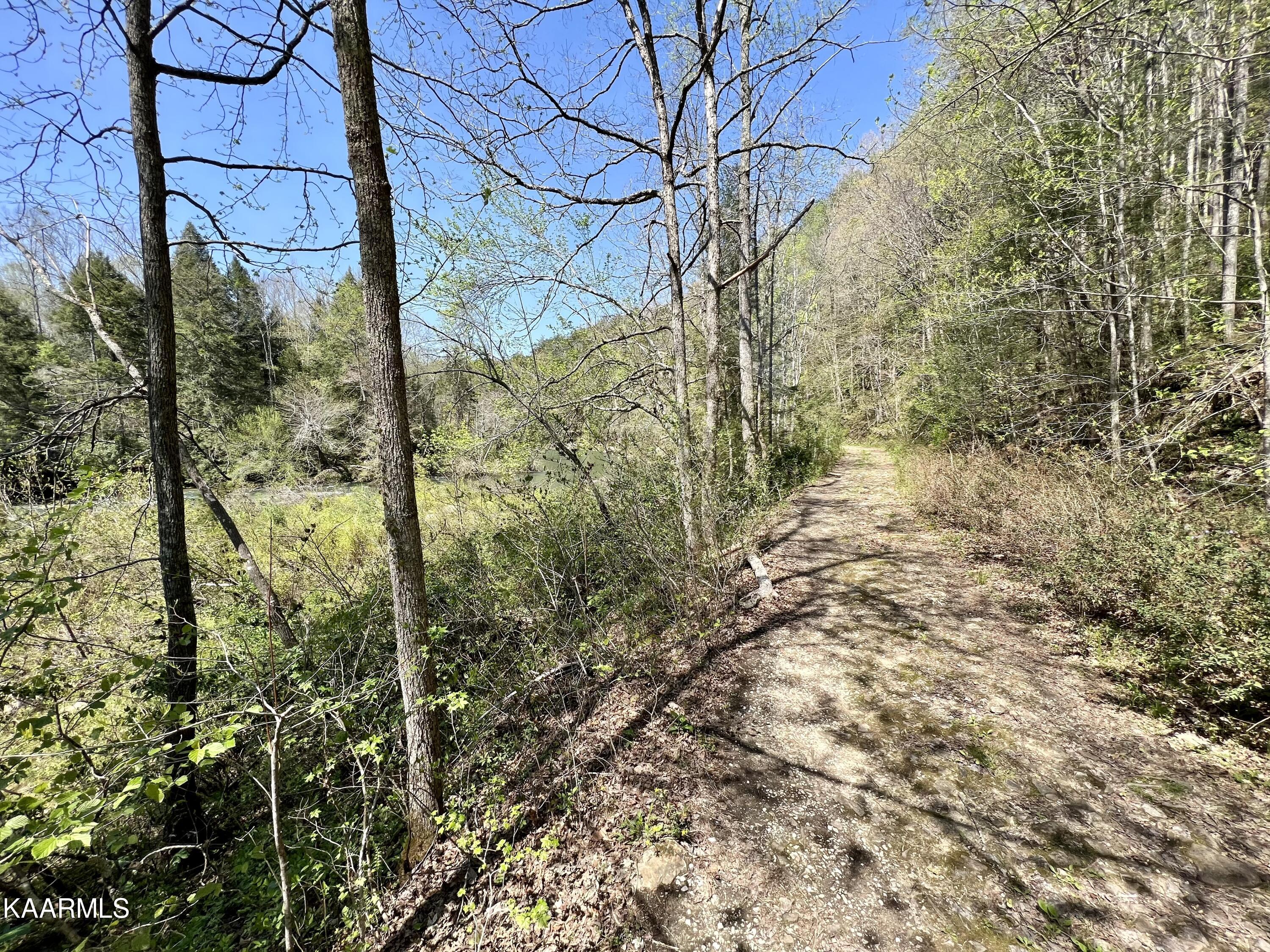 Clifty Road Crossville, TN 38572 - Photo 14 of 53 14