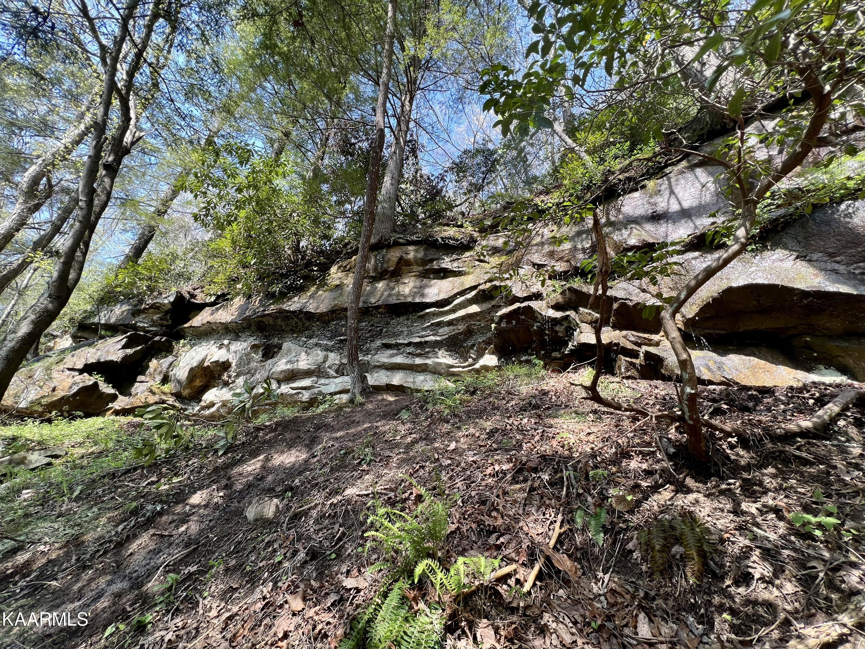 Clifty Road Crossville, TN 38572 - Photo 18 of 53 19