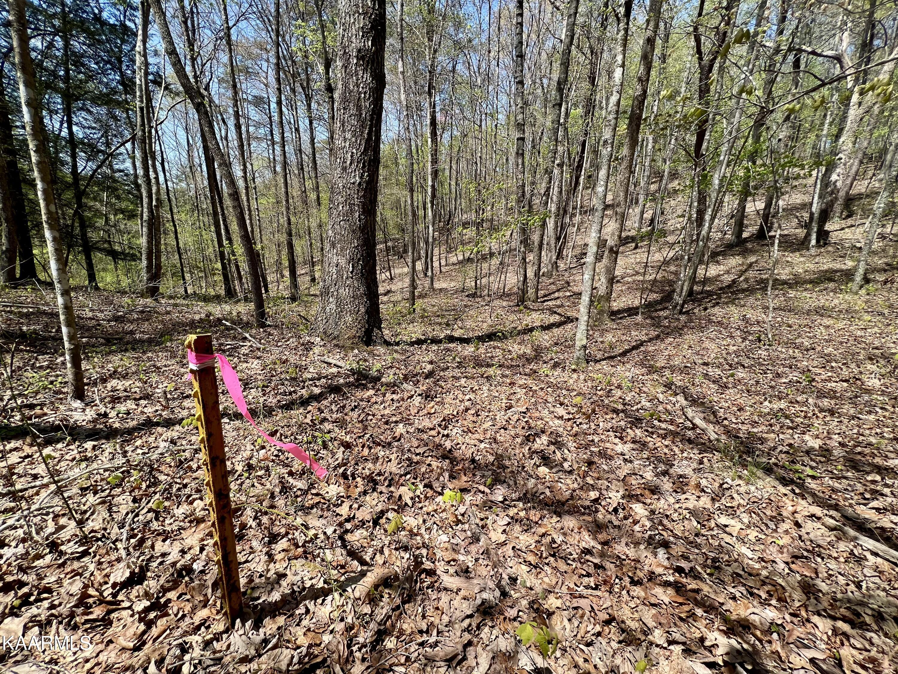 Clifty Road Crossville, TN 38572 - Photo 21 of 53 22