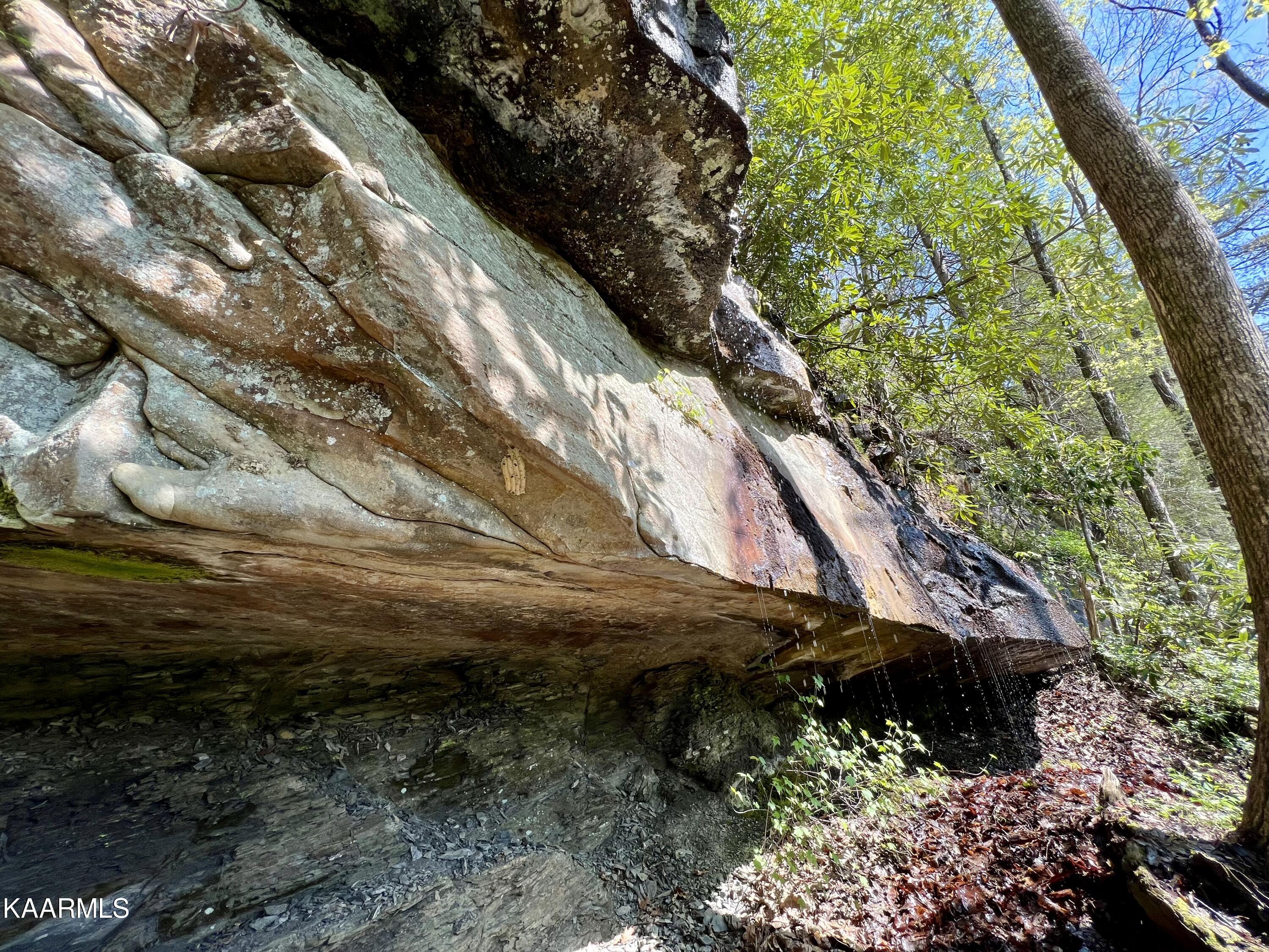 Clifty Road Crossville, TN 38572 - Photo 24 of 53 25
