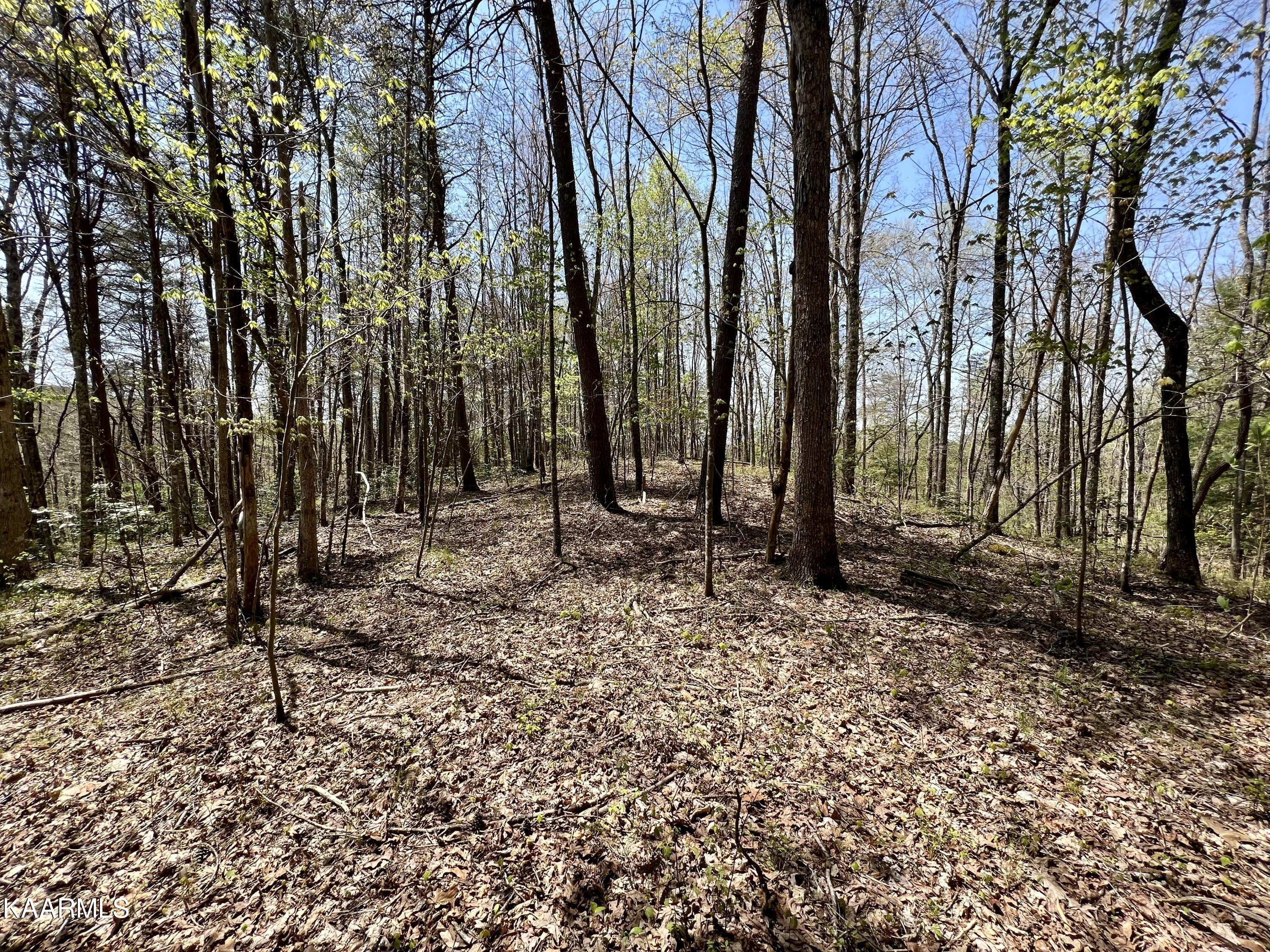Clifty Road Crossville, TN 38572 - Photo 48 of 53 IMG_1472