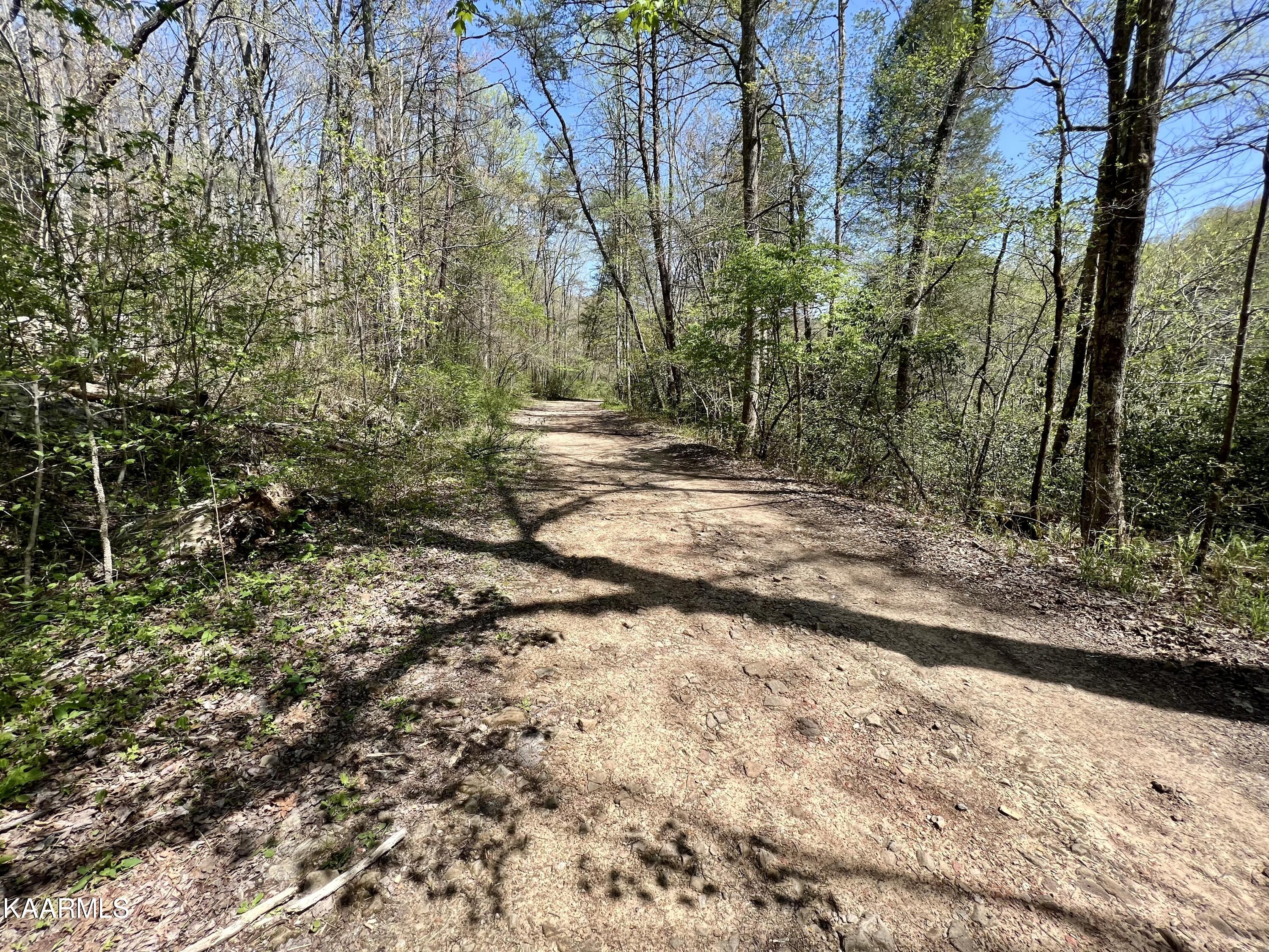 Clifty Road Crossville, TN 38572 - Photo 10 of 53 10
