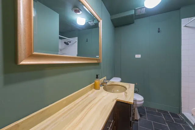 a bathroom with a sink and a toilet