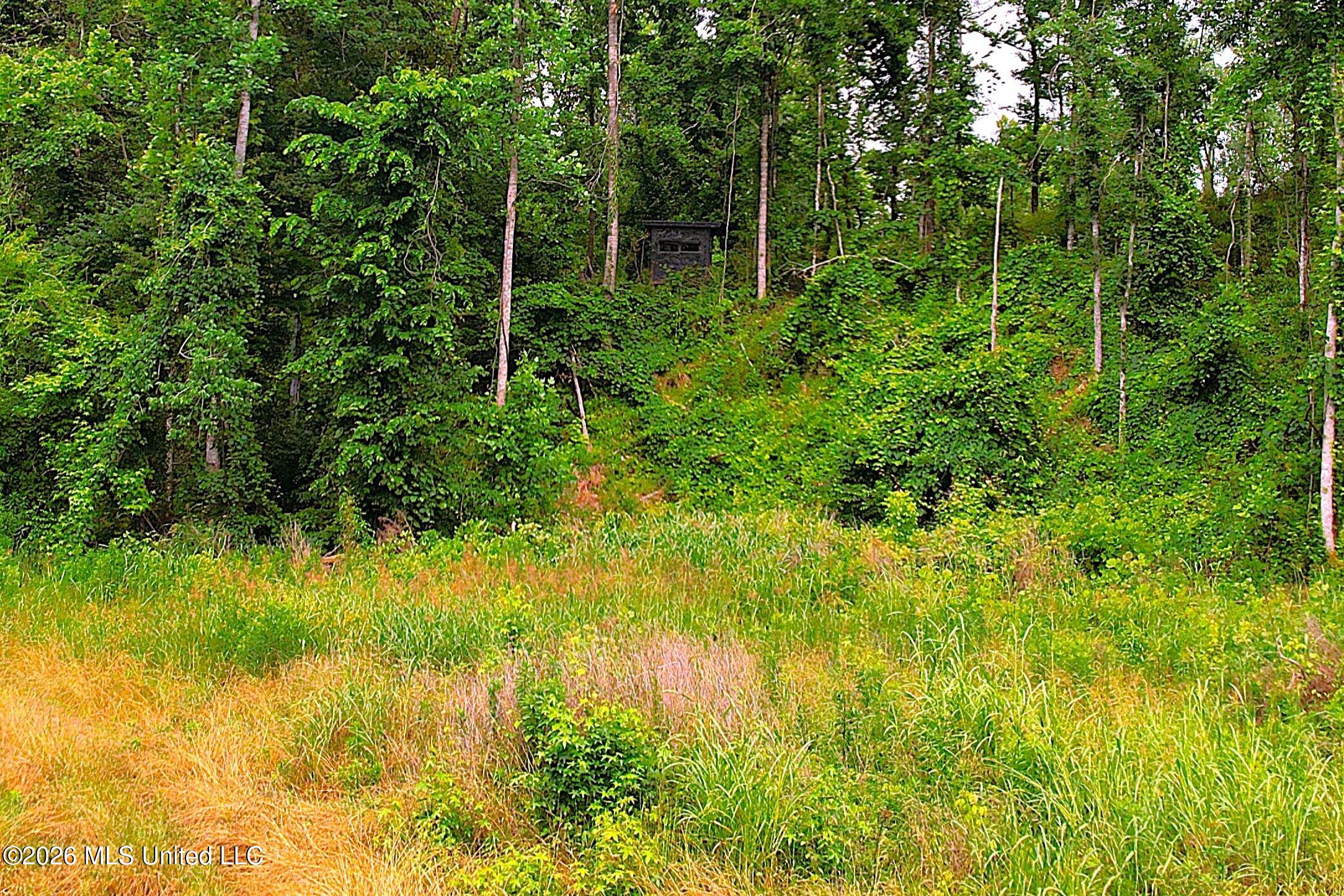 1181 Gowall Road Vicksburg, MS 39183 - Photo 30 of 43 deer stand