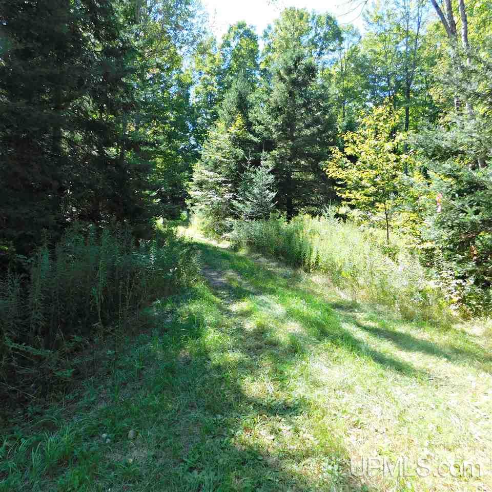5100 Unnamed Woods Road Osseo, MI 54758 - Photo 33 of 33