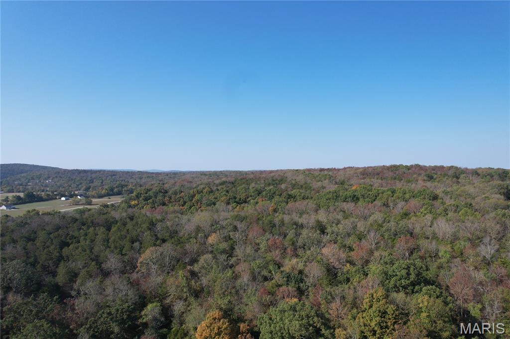 5 Mo-72 Fredericktown, MO 63645 - Photo 4 of 5