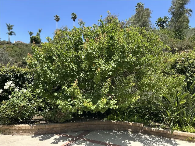 $2,195,000 | 24615 Kings Road, Laguna Niguel, CA 92677