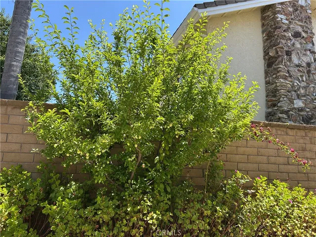 $2,195,000 | 24615 Kings Road, Laguna Niguel, CA 92677