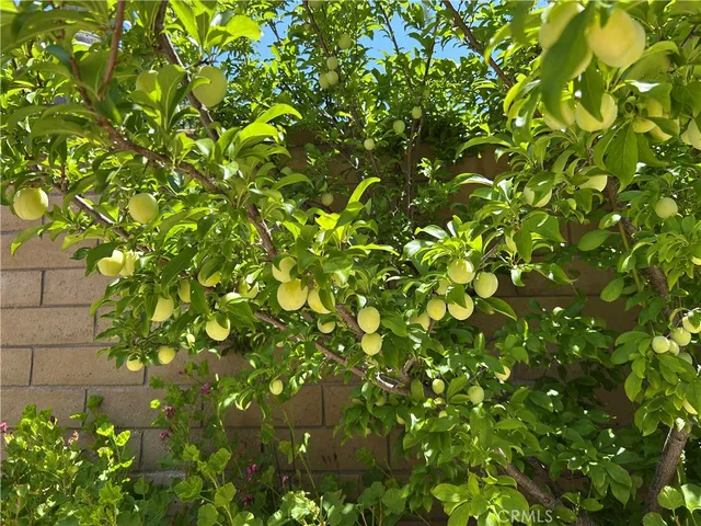 $2,195,000 | 24615 Kings Road, Laguna Niguel, CA 92677