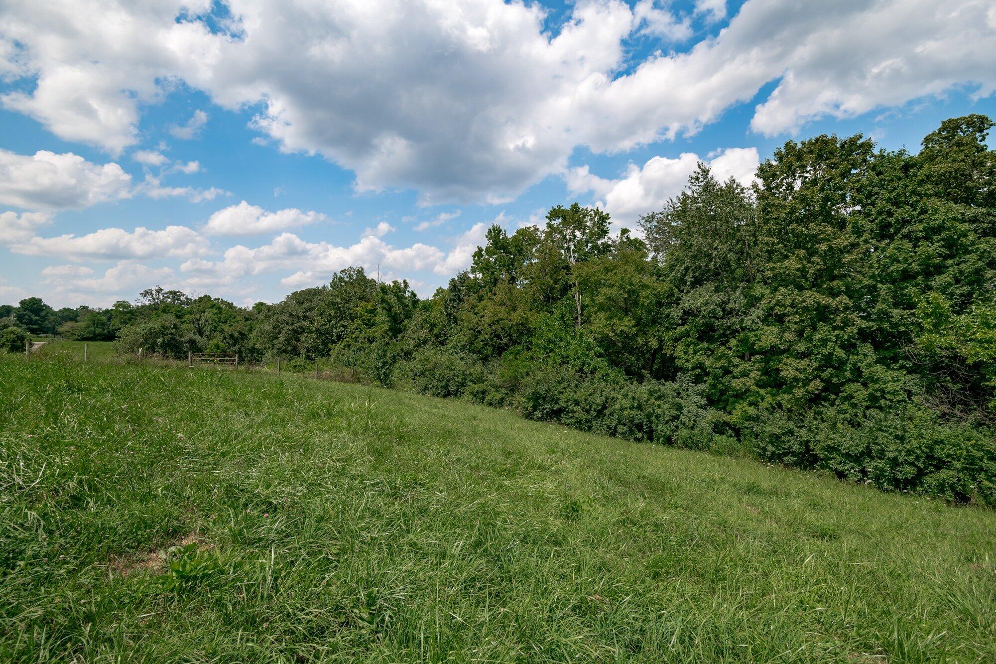 6161 Ashgrove Road Nicholasville, KY 40356 - Photo 30 of 31 031-6161_ashgrove_rd_8_3_21-highrez.jpg-