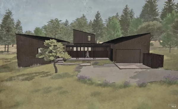 a view of a backyard