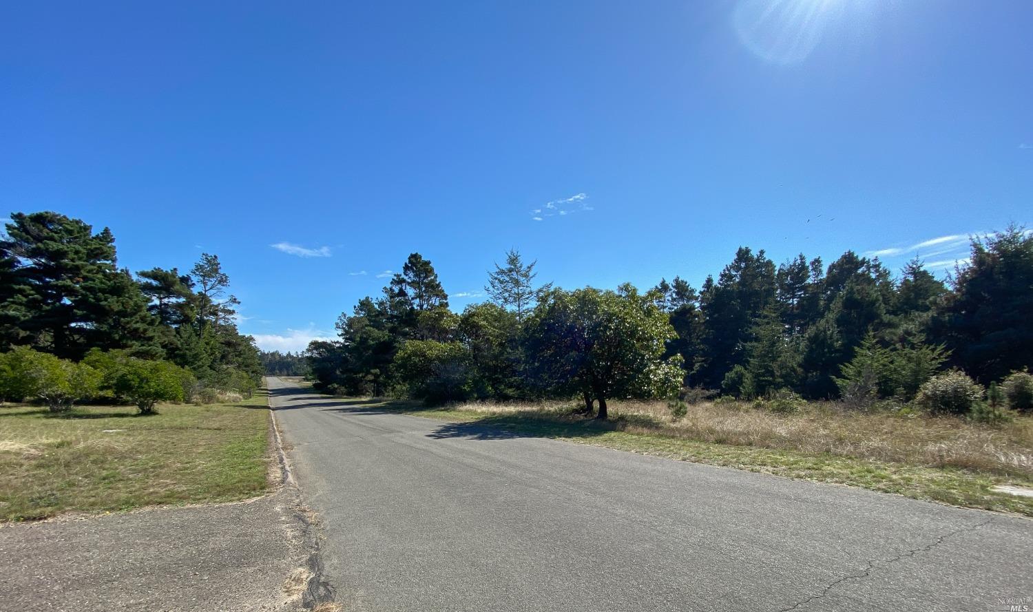 41179 Deer Trail The Sea Ranch, CA 95497 - Photo 17 of 33 a view of a field with trees in background