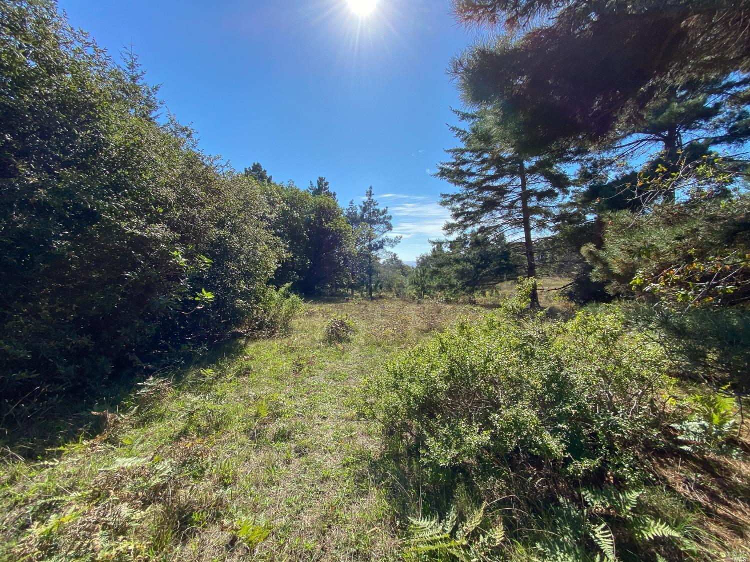 41179 Deer Trail The Sea Ranch, CA 95497 - Photo 2 of 26 a view of a yard with plants and a bench