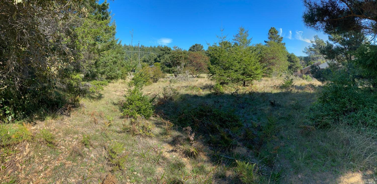 41179 Deer Trail The Sea Ranch, CA 95497 - Photo 21 of 33 a view of a yard