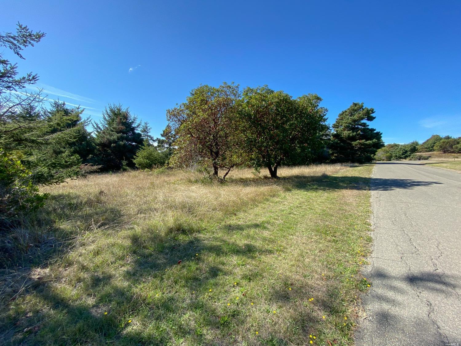 41179 Deer Trail The Sea Ranch, CA 95497 - Photo 9 of 26 a view of a lake with a yard